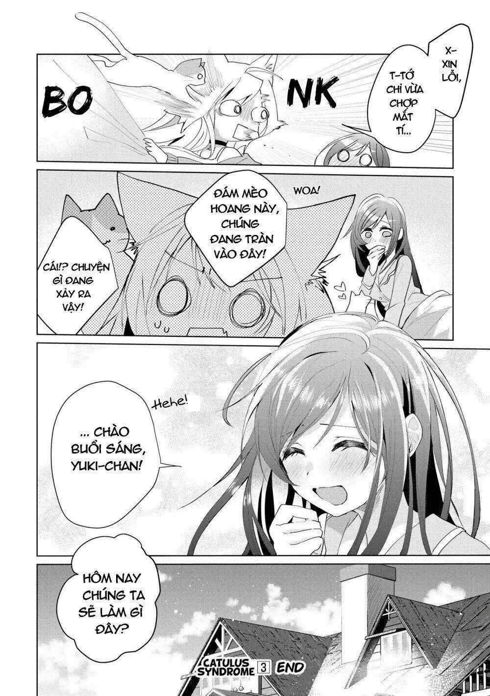 Chapter 28.5