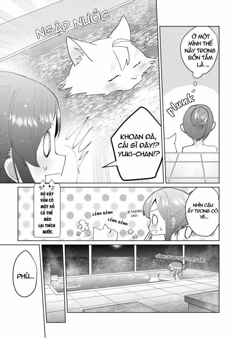Chapter 28.5