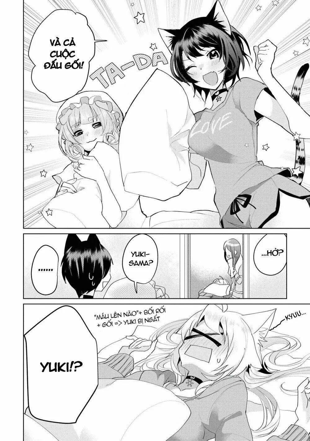 Chapter 28.5