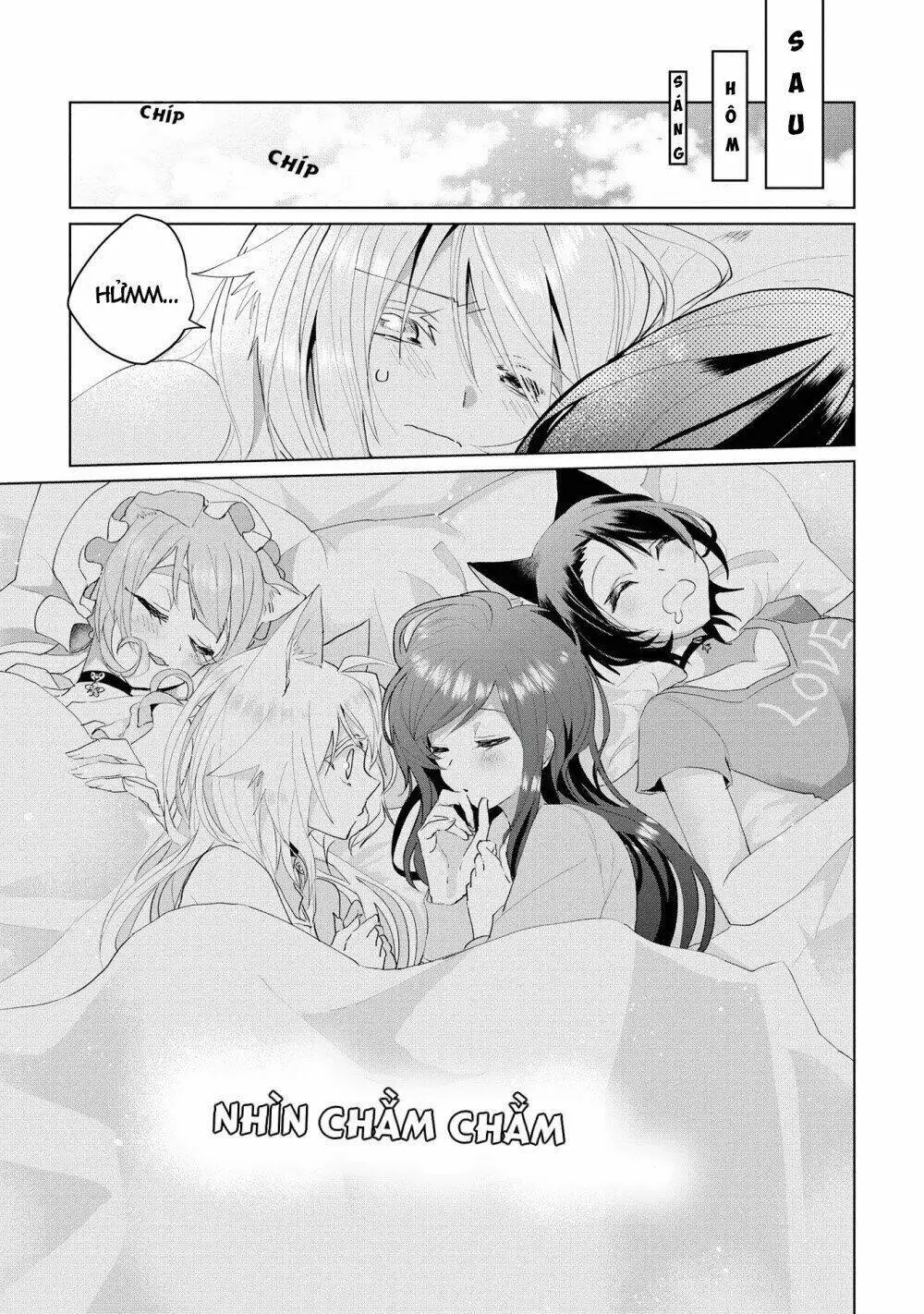 Chapter 28.5