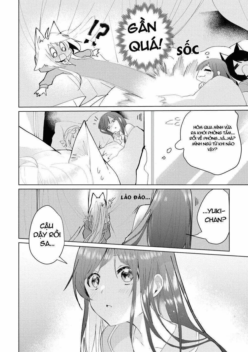 Chapter 28.5