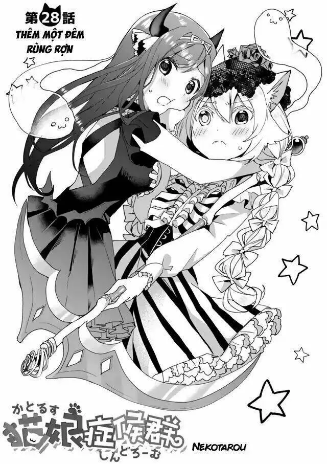 Chapter 28