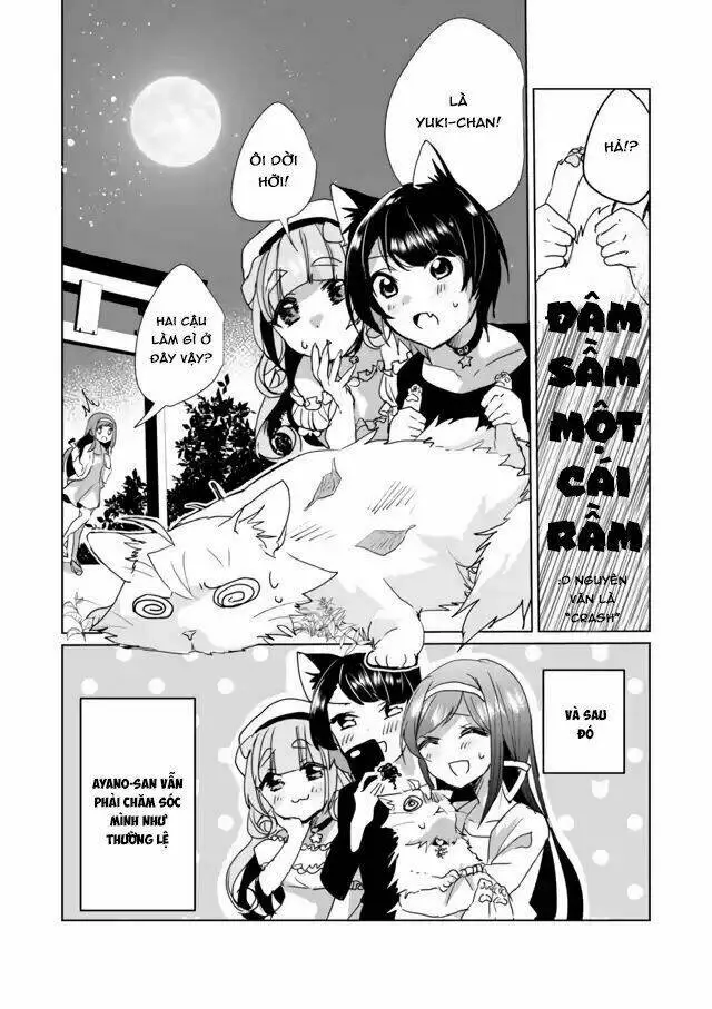 Chapter 28
