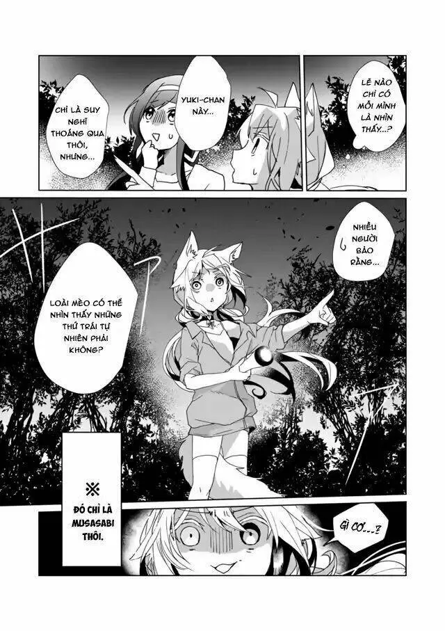 Chapter 28