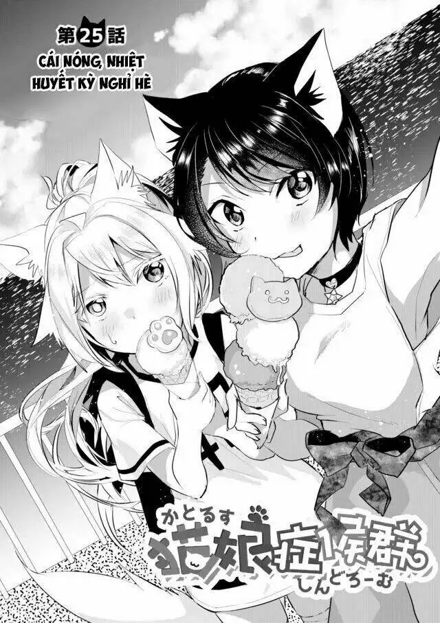 Chapter 25