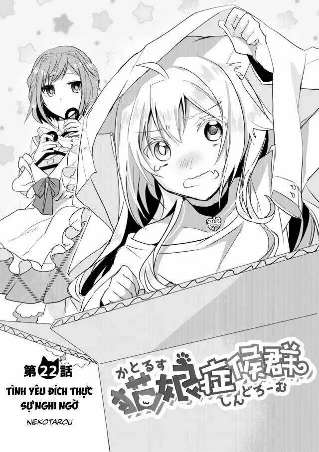 Chapter 22