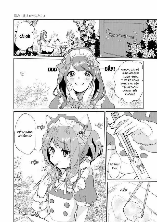 Chapter 22