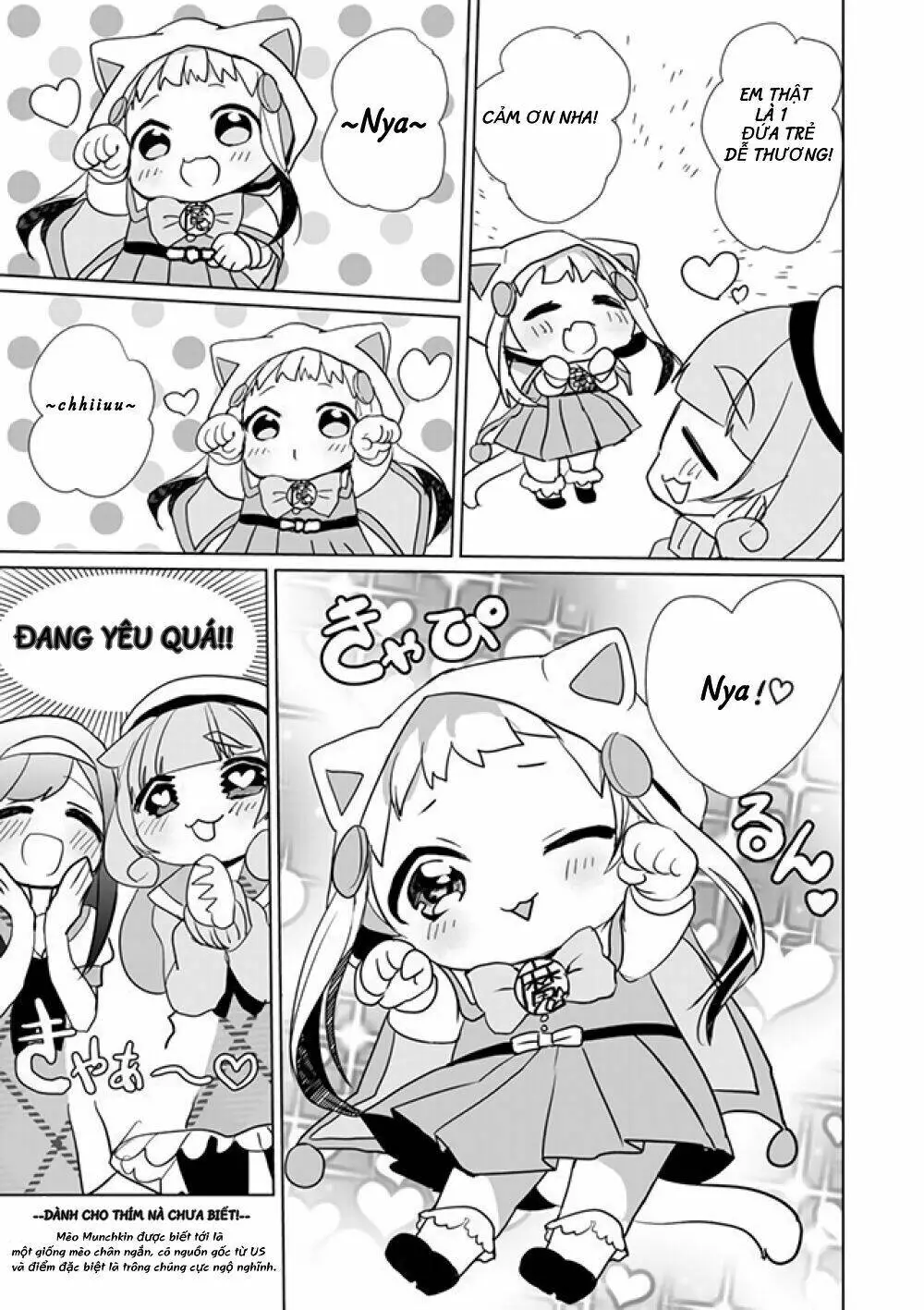 Chapter 20