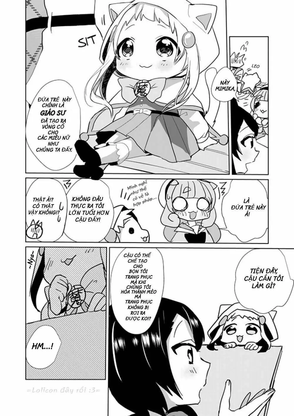 Chapter 20