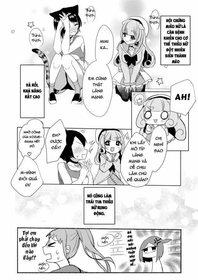 Chapter 17