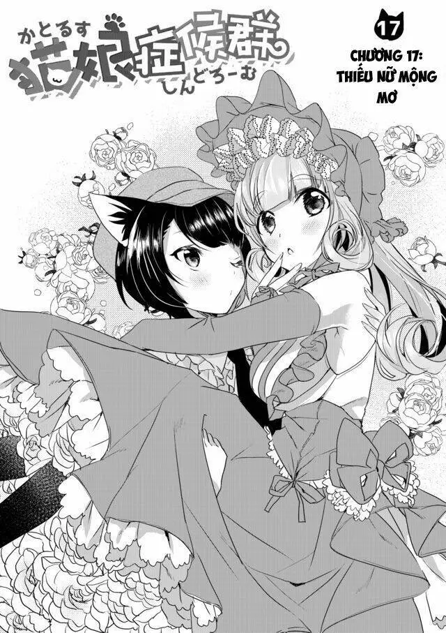 Chapter 17