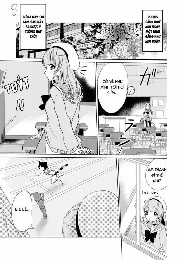 Chapter 17