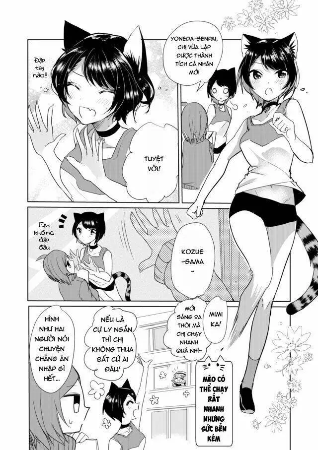 Chapter 17