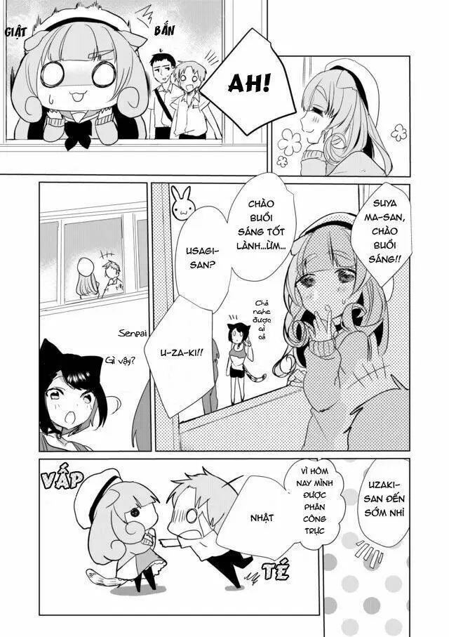 Chapter 17