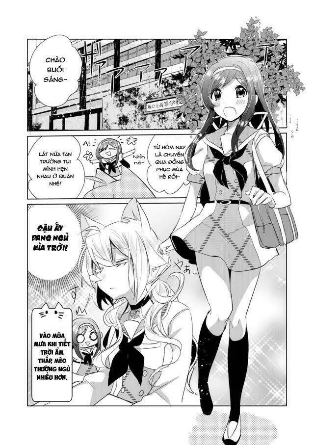 Chapter 14