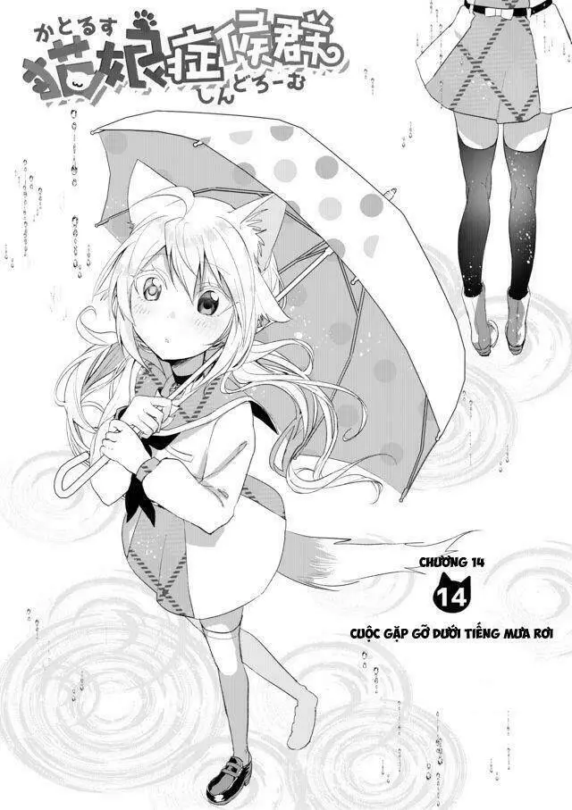 Chapter 14