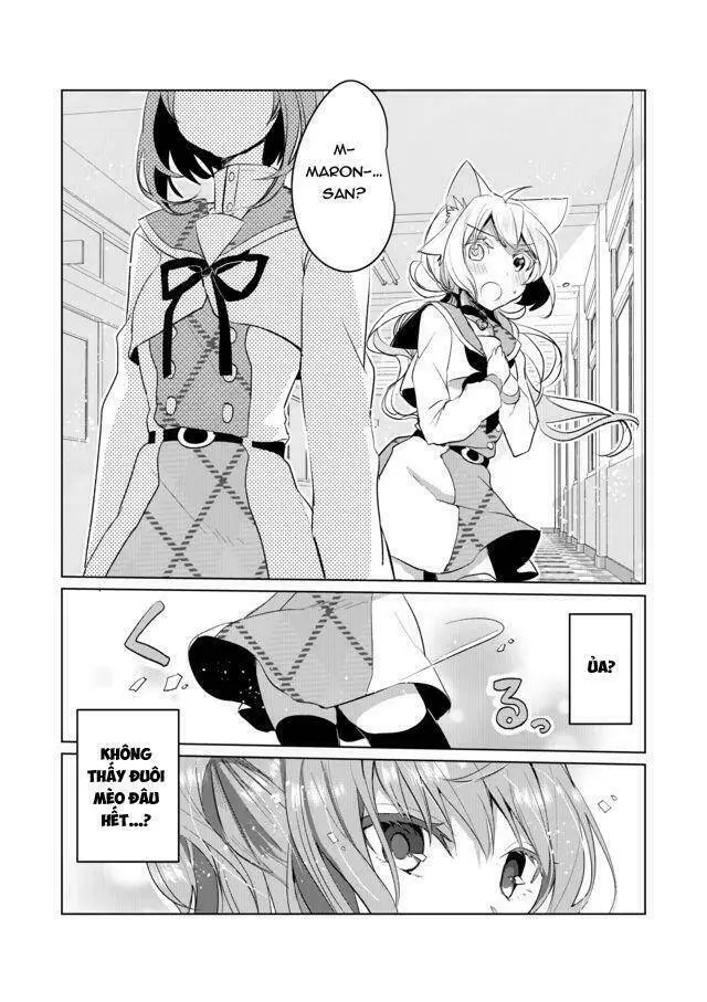 Chapter 14