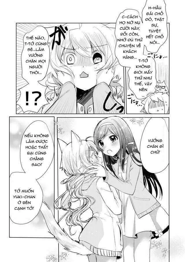 Chapter 13