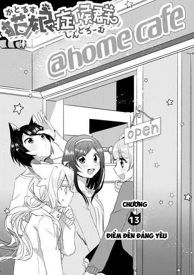Chapter 13