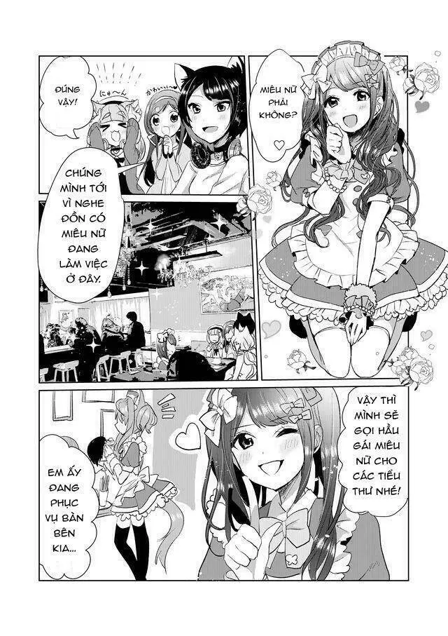 Chapter 13