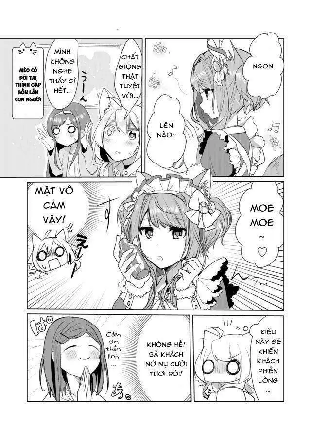 Chapter 13