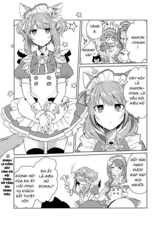 Chapter 13