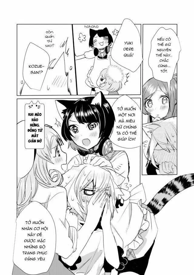 Chapter 12