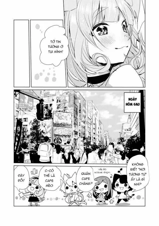 Chapter 12
