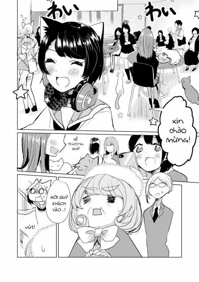 Chapter 12