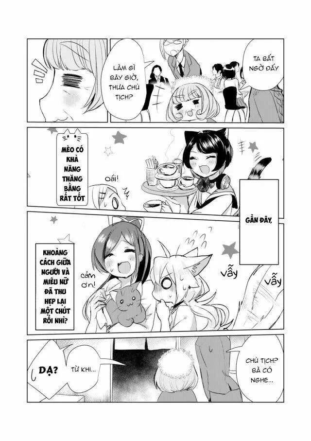 Chapter 12