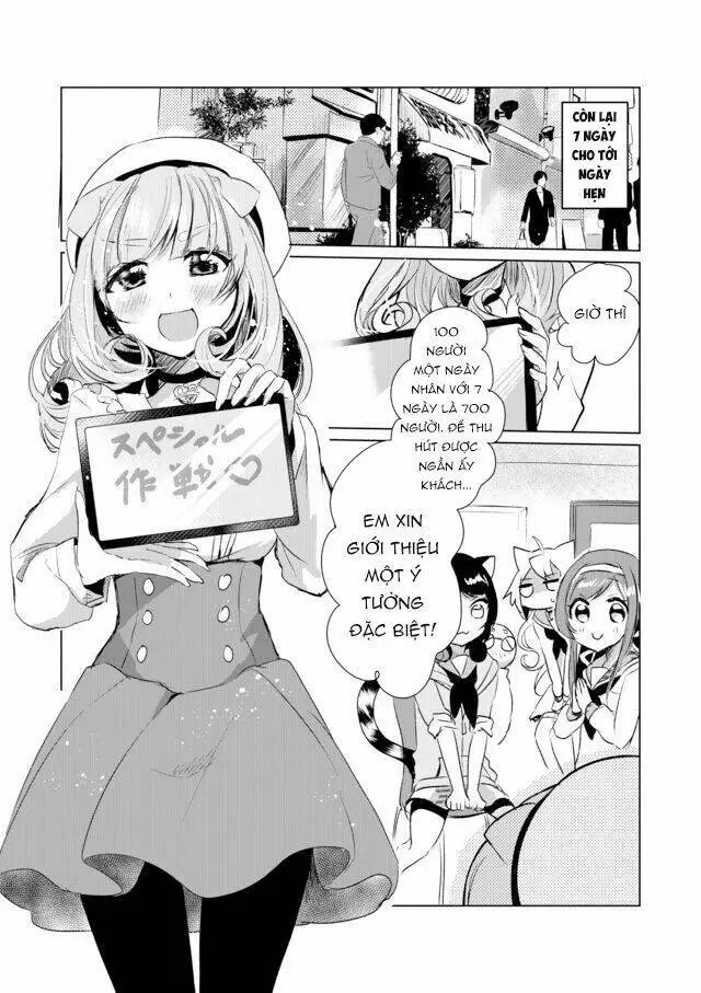 Chapter 11