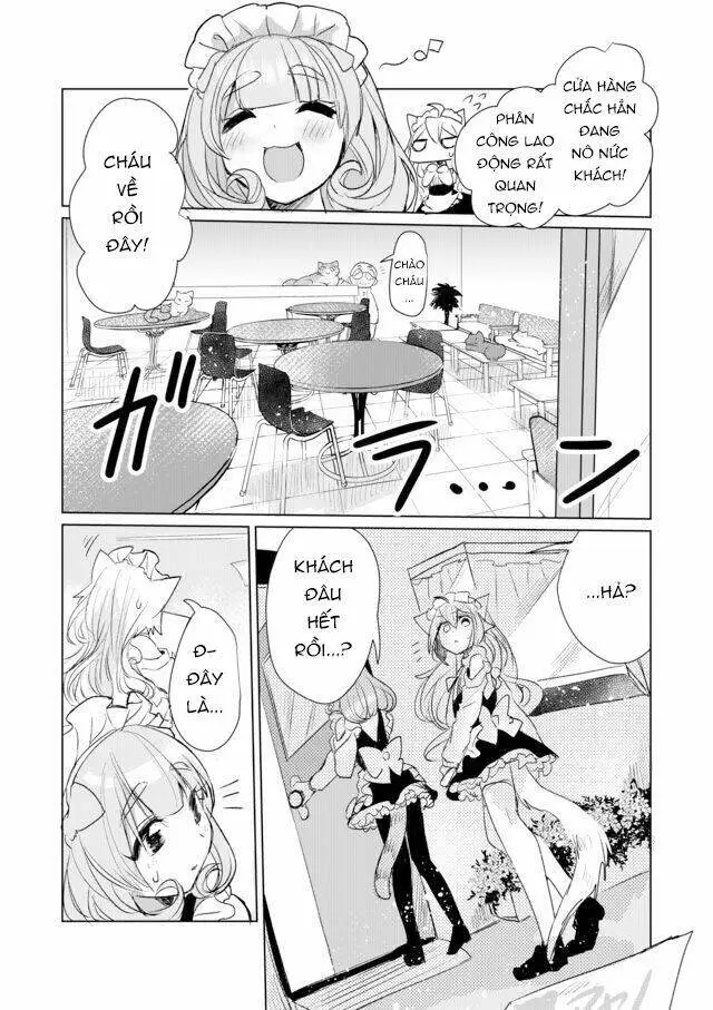 Chapter 11
