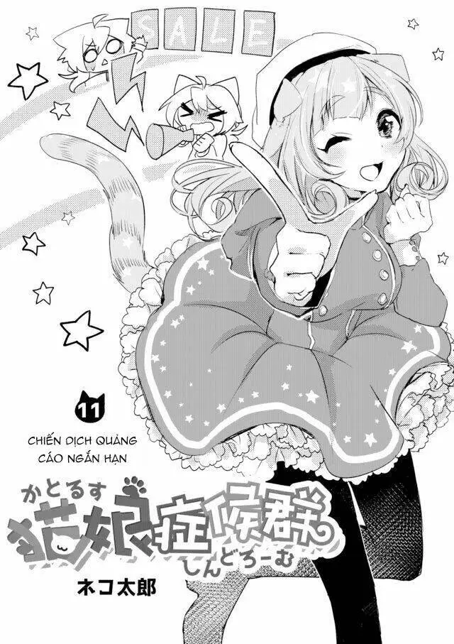 Chapter 11