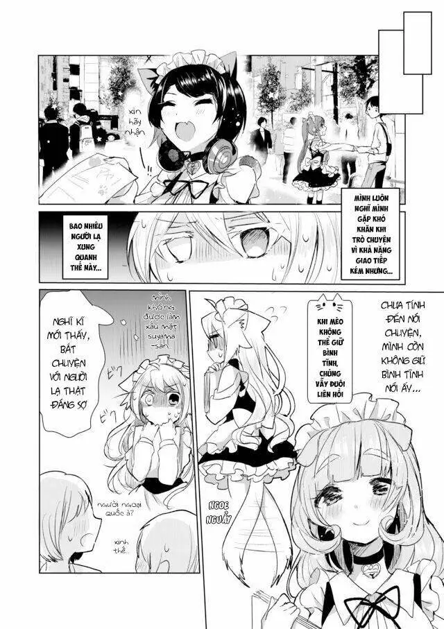 Chapter 11