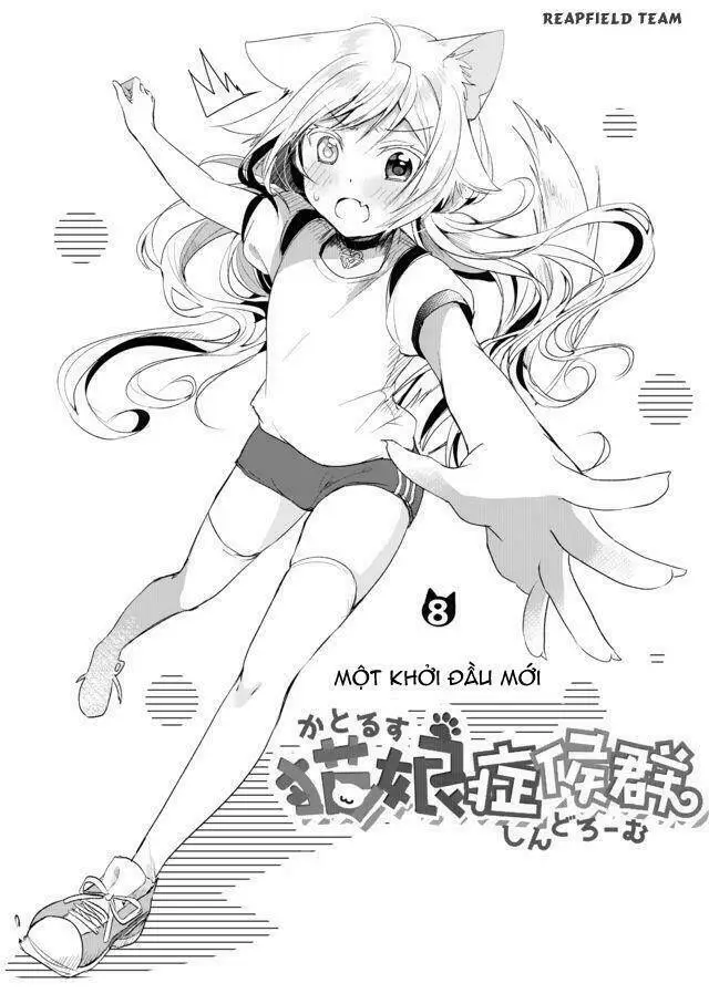 Chapter 8