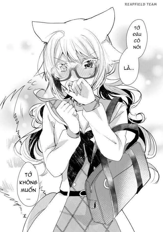 Chapter 8