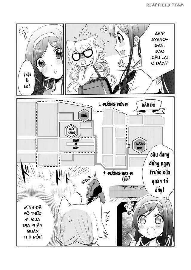 Chapter 8