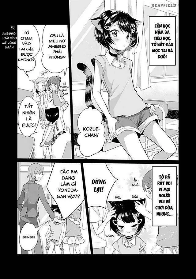 Chapter 7