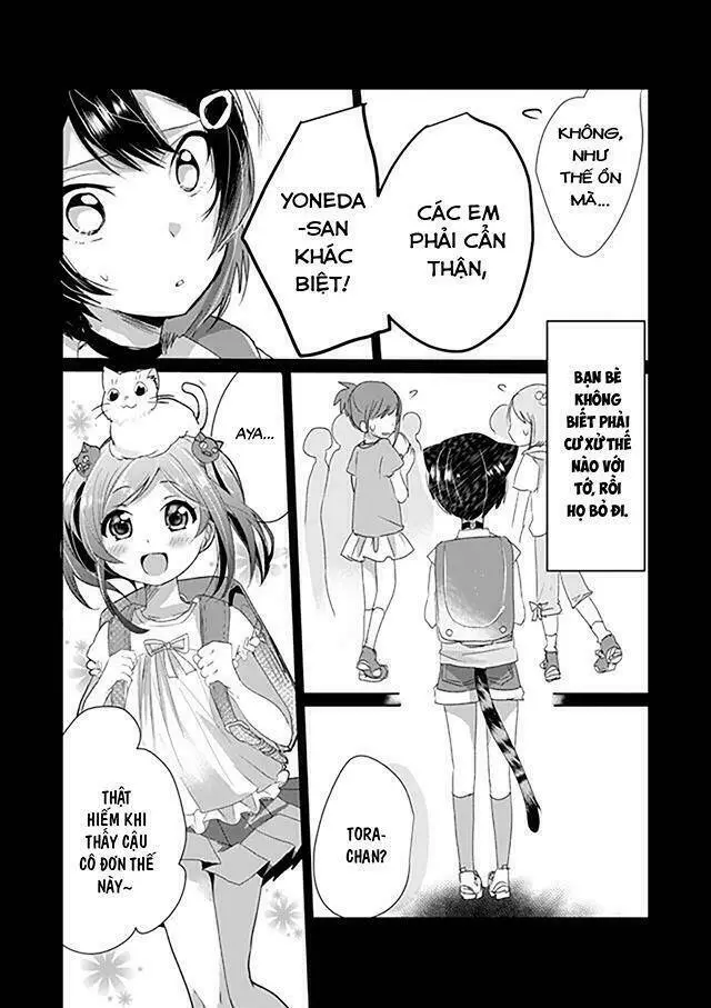 Chapter 7