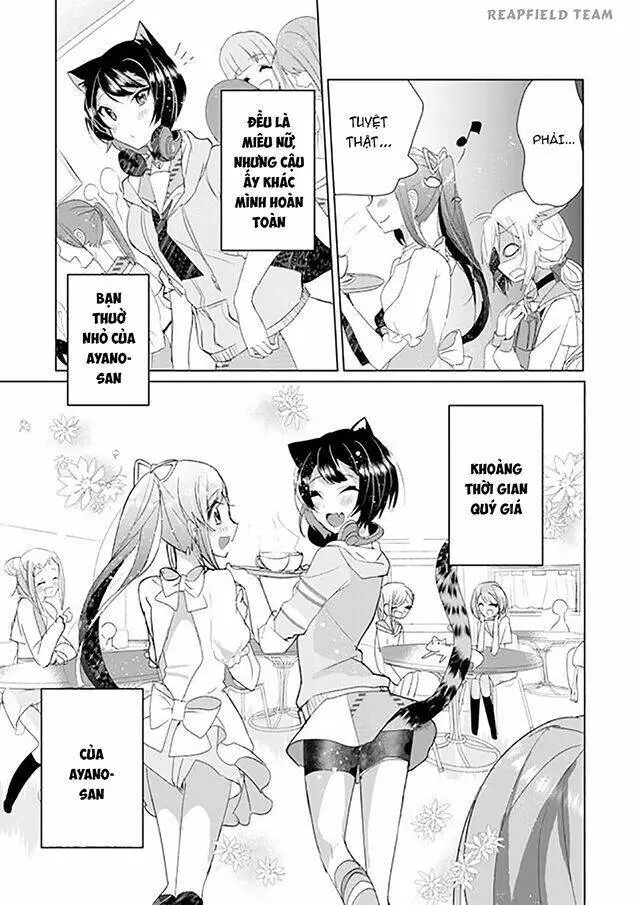 Chapter 6