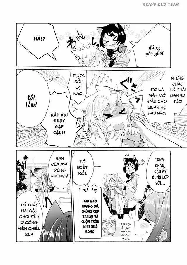 Chapter 6