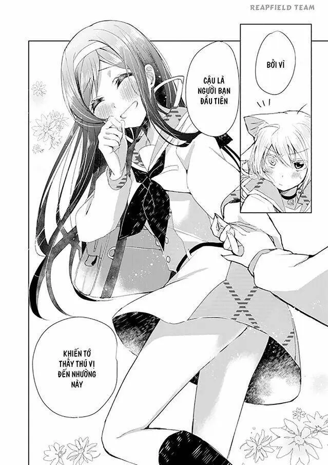Chapter 5