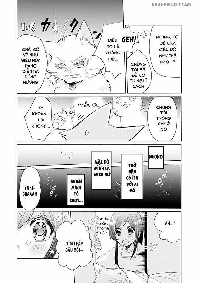Chapter 4