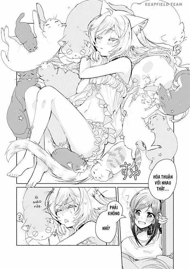 Chapter 4