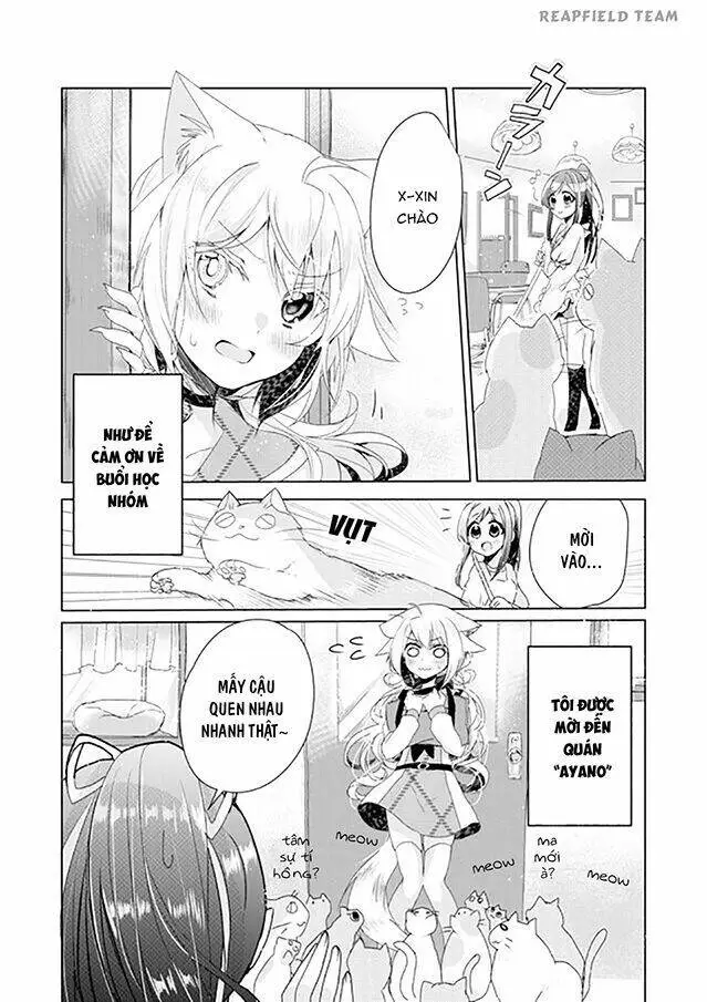 Chapter 4