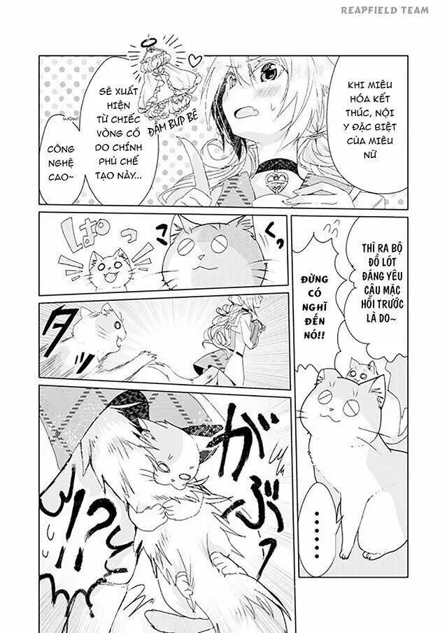Chapter 4