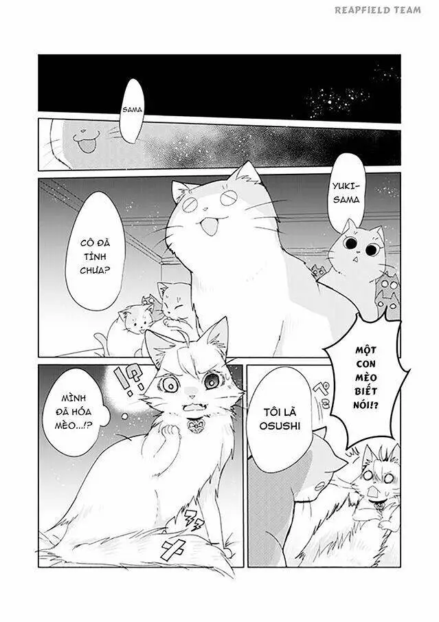 Chapter 4