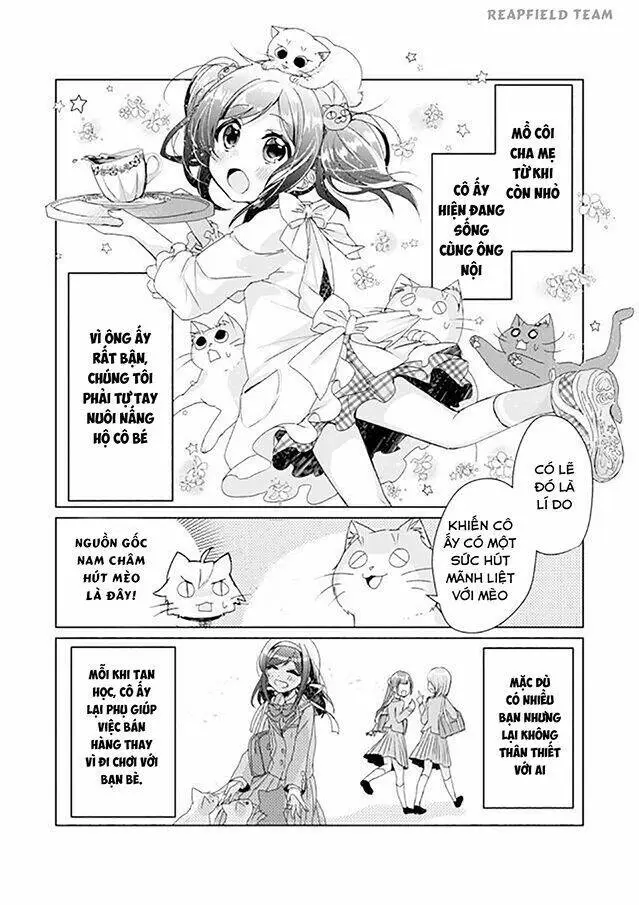 Chapter 4