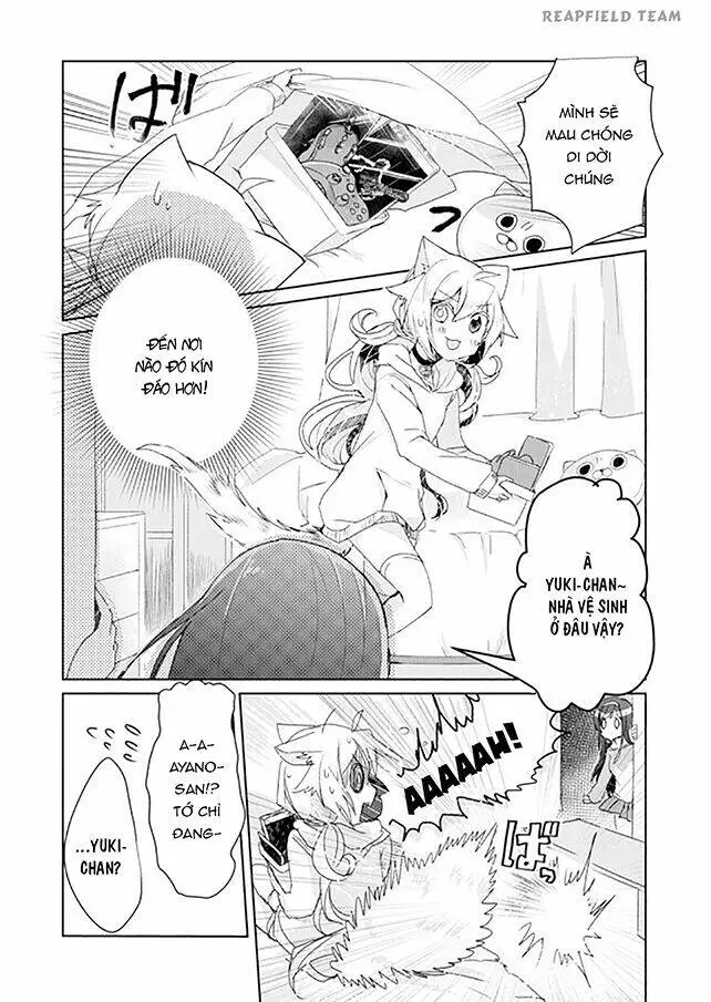 Chapter 3