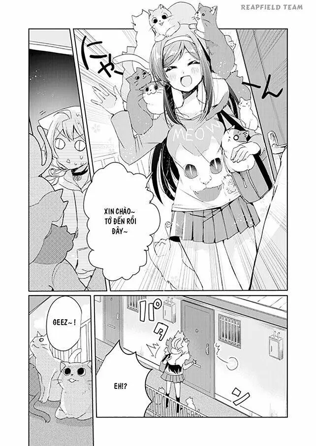 Chapter 3